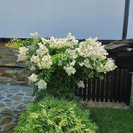 семеен чардаците Pensionat Lovech