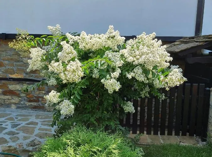 семеен чардаците Къща за гости Ловеч